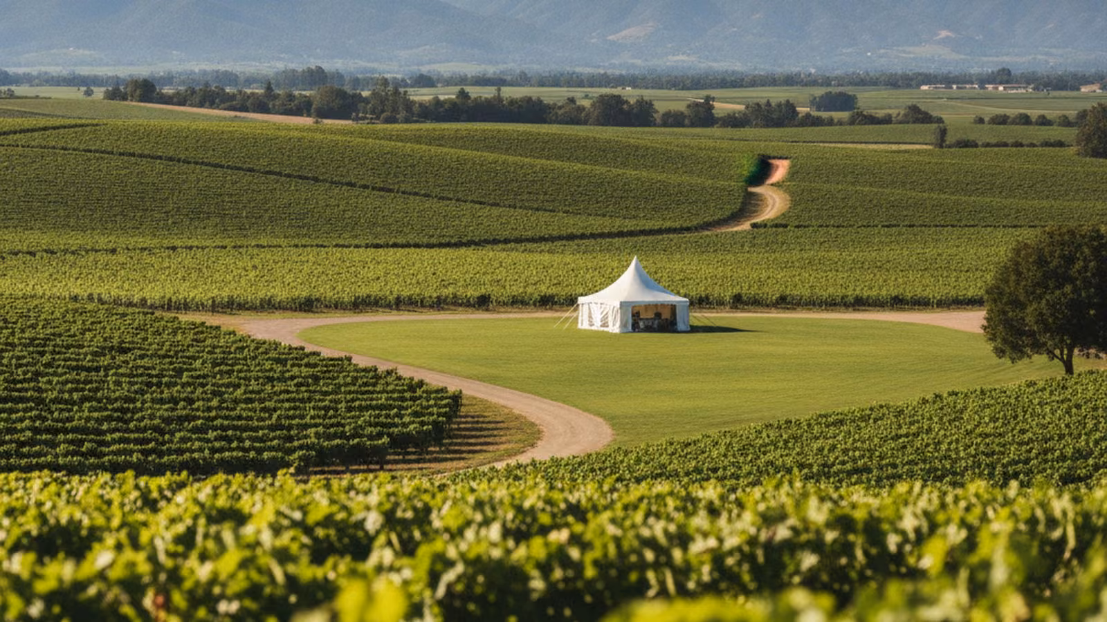 A white event tent on a lawn with Cape vineyards and mountains behind